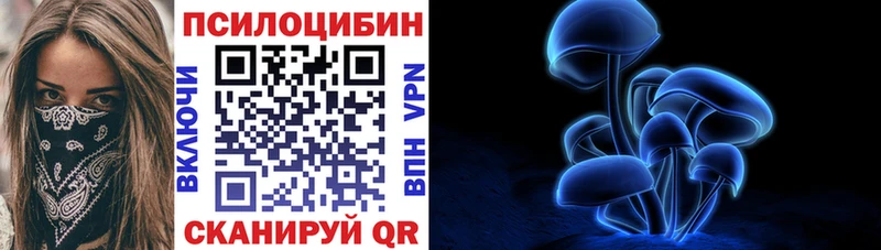 Купить  Разумное  Псилоцибиновые грибы мицелий 